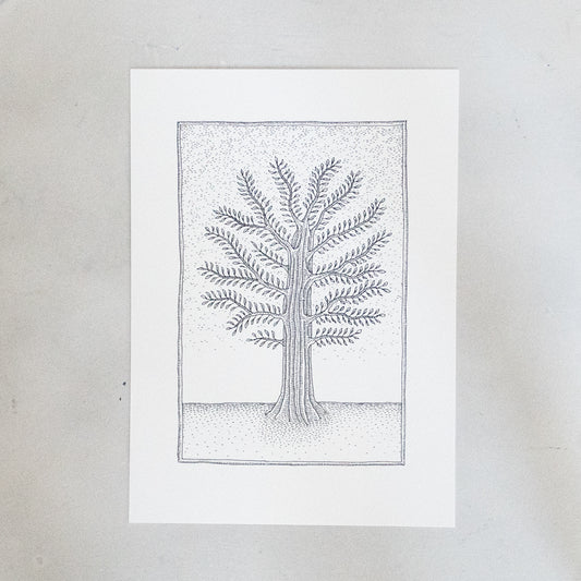 Cotton Wood Print