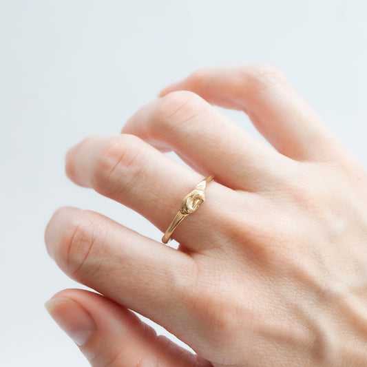 The Knot Ring