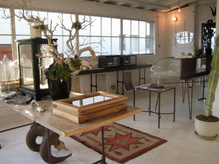 Oakland shop in August 2011