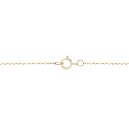Gold chain necklace on a white background