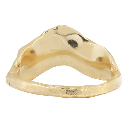 LXI Gray Diamond V Shape Scatter Ring