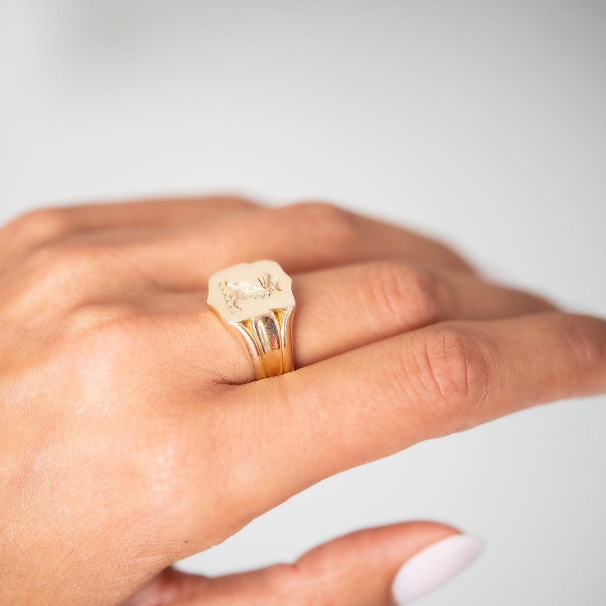 Griffin Signet Ring
