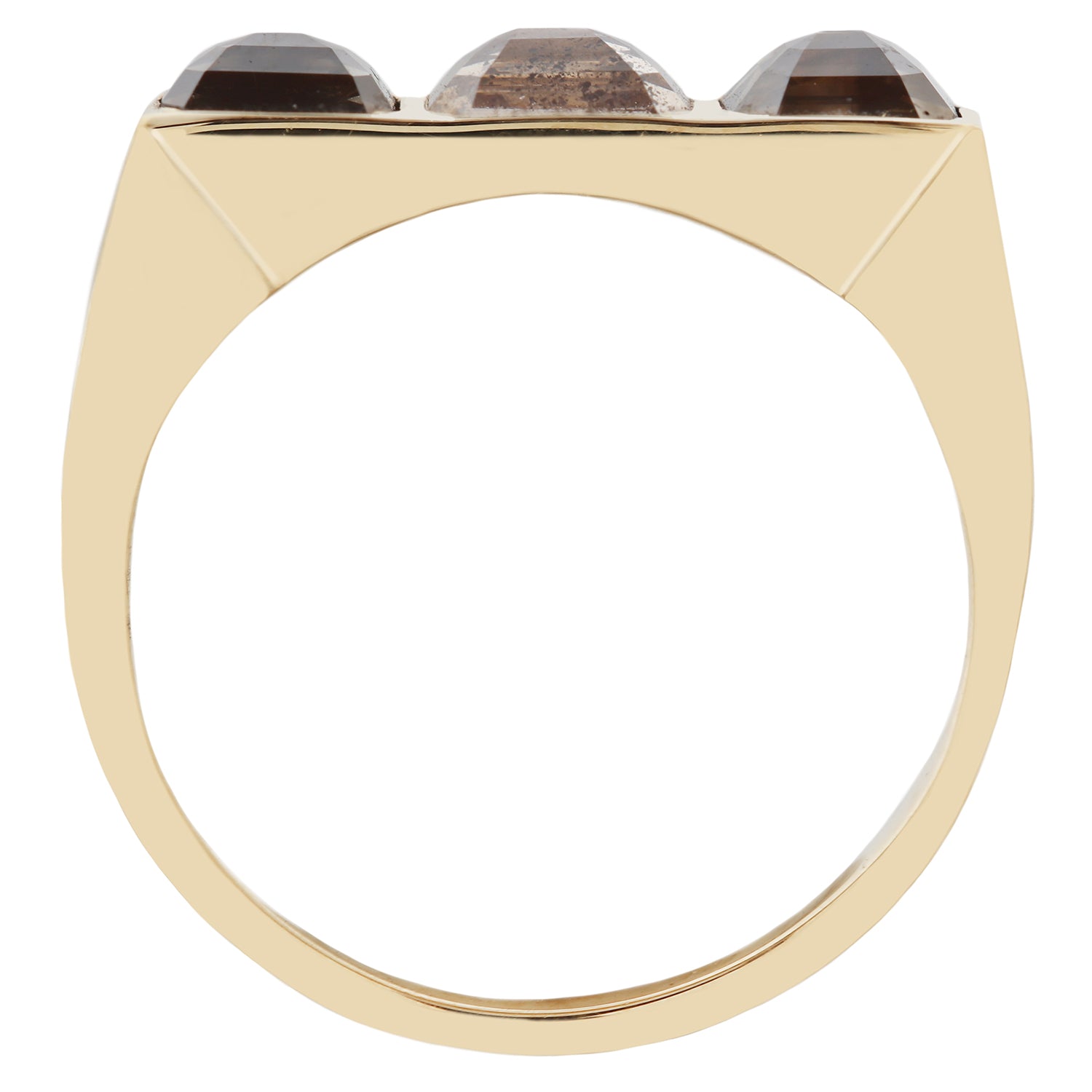 Desert Horizon Guardian Bar Ring