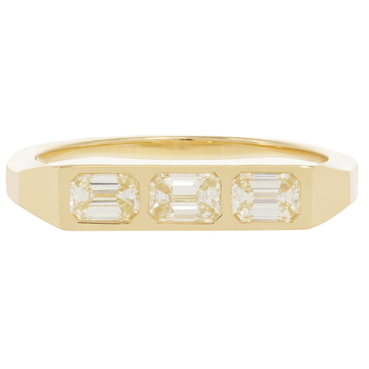 Guardian Bar Ring