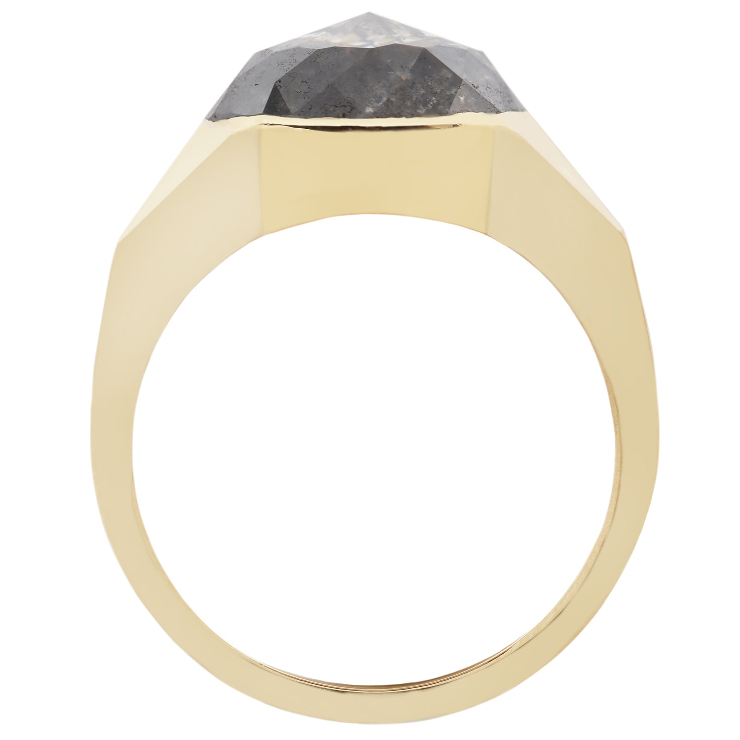 Speckled Diamond Oval Signet Ring