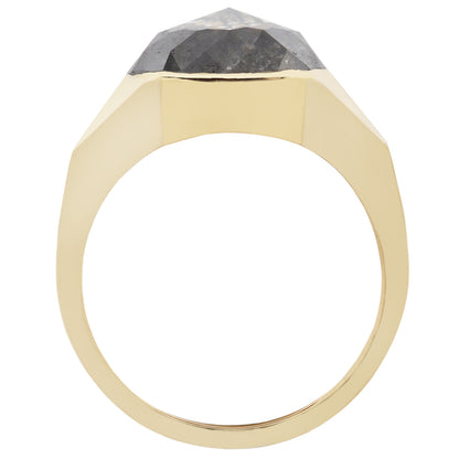 Speckled Diamond Oval Signet Ring