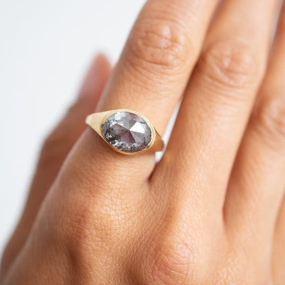 Speckled Diamond Oval Signet Ring