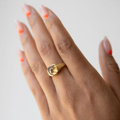 Golden Canyon Diamond Signet Ring