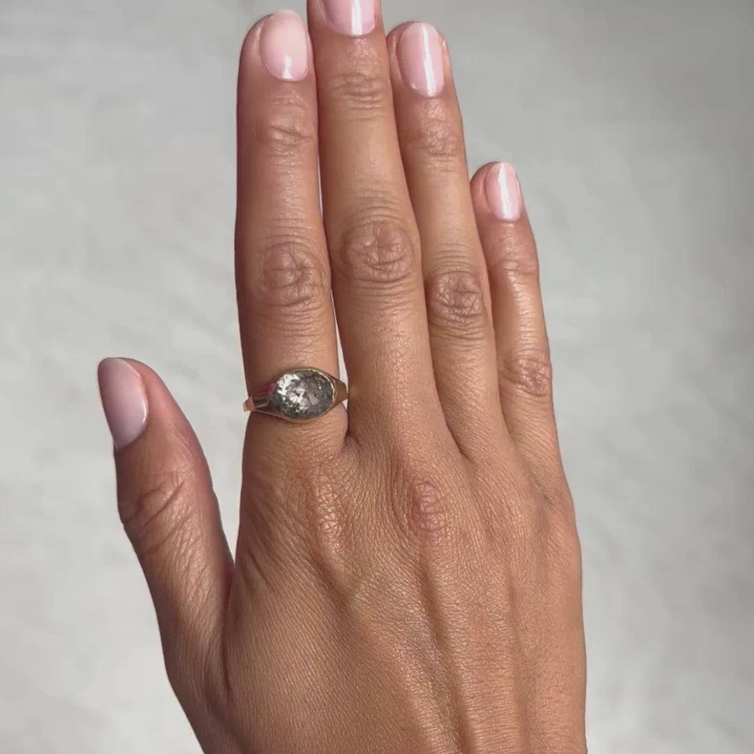 Speckled Diamond Oval Signet Ring