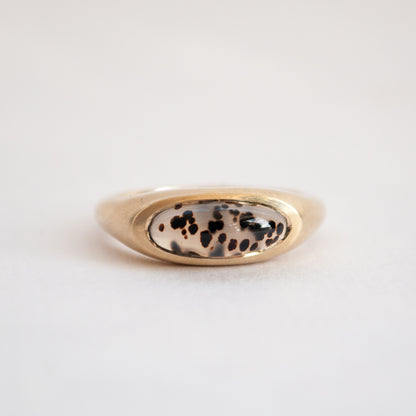 Dendritic Agate Slab Ring