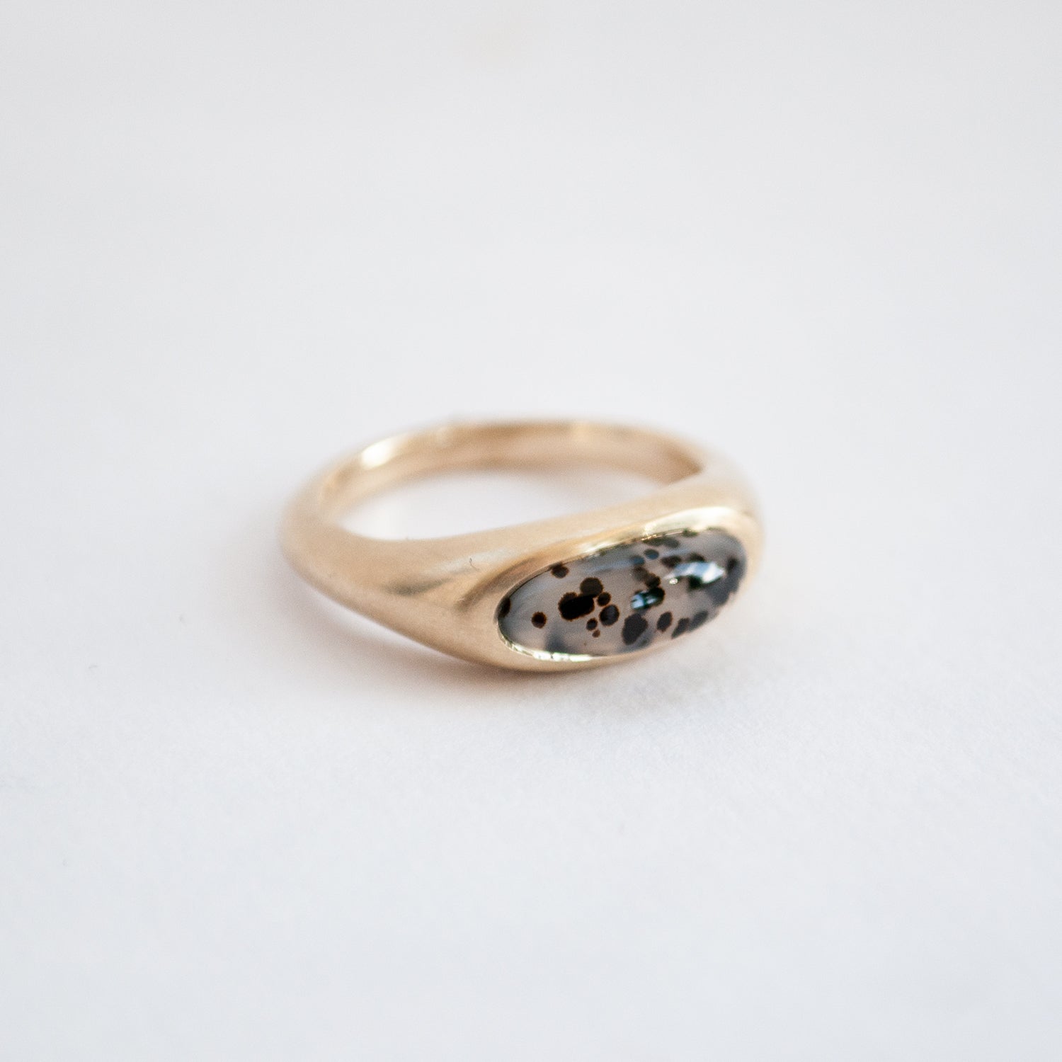 Dendritic Agate Slab Ring
